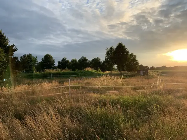 Wiesen und Felder rund um Mardorf im Abendlicht